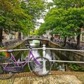 Između Beograda i Amsterdama 14 letova nedeljno i tokom zimskog reda letenja