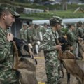 Kolumbijska vojska traga za herojskim psom koji je pomogao nalaženje dece u džungli Amazonije