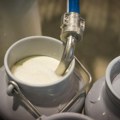 Počinje podnošenje zahteva za premiju za mleko za drugi kvartal 2025. godine