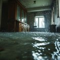 Ušetao u poplavljenu kuću i otkrio opasnog uljeza: Ovaj snimak ledi krv u žilama!