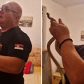 Zmija se zavukla u ormar u porodičnoj kući: Zmijolovac Vladica otkrio zašto je smuk završio baš ovde