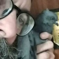 Оца Стефана дочекао необичан гост: Уследила је јурањава, а ево како је потера завршена