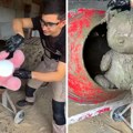 Uzeo plišanog medu i potopio ga u beton, pa od toga napravio roštilj