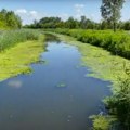 Sedam novih zaštićenih područja na severu Srbije Uživajte u nestvarnim lepotama prirode vojvođanske ravnice