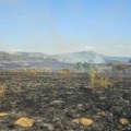 Veliki požar u okolini Svrljiga, gori preko 100 hektara