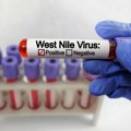Virus koji prenose komarci stigao u Severnu Makedoniju: Dva pacijenta hospitalizovana