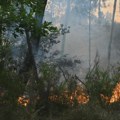 Požar na Braču i dalje nije pod kontrolom, u gašenju učestvuje više od 100 vatrogasaca