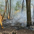 U Albaniji u poslednja 24 sata izbila 21 požar na otvorenom, šest i dalje aktivno