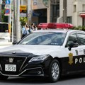 Ukraden luksuzni sat vredan 260.000 evra Pretvarao se da je kupac, pa pobegao sa vrednim plenom: Policija u Tokiju traga za…