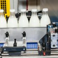 "Sve je bilo džaba ako opet dođe do nekontrolisanog uvoza": Ističe rok za prelevmane na mleko, šta brine mlekare?