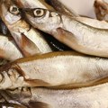Ishrana sitnom ribom može da spreči 750.000 prevremenih smrti