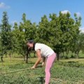 Žena Darka Lazića okopava njivu: Uzela motiku i pokazala kako obavlja seoske poslove, pa usledile prozivke: "Foliraš se za…