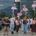 Flamingo revolucija u Albaniji