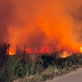 VIDEO: Izgorelo oko 2.000 kvadrata niskog rastinja u Petrovaradinu - drugi požar u manje od 12 sati