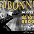 Zakazan drugi koncert gibonnija: U Beogradu!