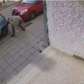 Niški "Pink panter": U Nišu žena „u po bela dana“ krala betonske ploče sa trotoara (video)
