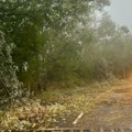 Veliko nevreme pogodilo cetinje: Oborena stabla, pojedine ulice zatvorene za saobraćaj (foto)