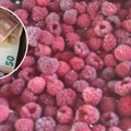 Dnevnice za malinare idu i do 6.000 rsd: Vlasnici voćnjaka daju i više - zarada zavisi i od još jednog faktora