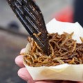 Ljudima se gadi ideja o insektima kao hrani održive budućnosti