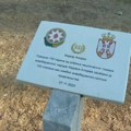 Posečena stabla „prijateljstva sa Azerbejdžanom“: Građani sumnjaju, zbog vojne parade (VIDEO)