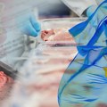Bez mesa nema "slanine“ – šta nova pravila EU o hrani znače za Srbiju