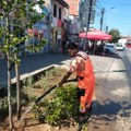 MEDIANA UREĐUJE NIŠ NA VIŠE LOKACIJA: Košenje, čišćenje i radovi na zelenim površinama širom grada