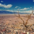 Posetioci hrle u Dolinu smrti uprkos temperaturama od preko 50 stepeni