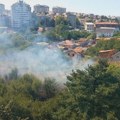 Požar na Voždovcu: Žena zapalila rastinje na livadi, vatra se otrgla kontroli (video)