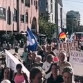 Nemci na nogama: Veliki protest protiv NATO politike (video)