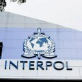 Interpol: u svetu u oktobru oko 500 uhapšenih pod sumnjom da su trgovali zaštićenim vrstama