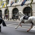 Konji britanske konjice pobegli sa vežbe, jurili centrom Londona