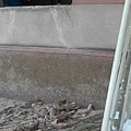 Pao prozor u subotičkoj gimnaziji: Đak lakše povređen (video)