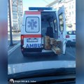 Novi skandal sa sanitetskim vozilom: U Nišu prevoze građu umesto pacijenata VIDEO
