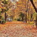 Umereno do potpuno oblačno u većem delu zemlje – temperatura do 20 stepeni