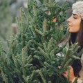 Apel Zelenila-Beograd da se za Novu godinu i Božić kupuju jelke sa busenom