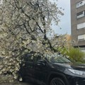 Nevreme u Hrvatskoj: Nekoliko povređenih, škole u Zagrebu zatvorene, stabla po putevima zbog jakog vetra