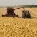 Poljoprivrednika i zemljišta sve manje: Stručnjaci upozoravaju – ako se trend nastavi, zavisićemo od uvoza