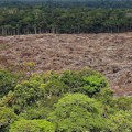 U februaru zabeleženo rekordnih 3.000 požara u brazilskoj Amazoniji, krivac su – klimatske promene