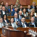 Vučević predložio sastav nove vlade, prvi zahtev odanost otadžbini