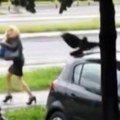 Oprez, vrane napadaju! Biolog objašanjava zašto nasrću na ljude, ko je u najvećoj opasnosti i kako se zaštiti