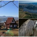 Novih 8.000 hektara pod zaštitom države Zlatar je nova eko oaza koja će se čuvati za buduće generacije- Poznat po beloglavom…