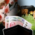 Velike promene na stočnim pijacama: prasići sve skuplji, ali telad beleže pad. Evo koliko je kilogram žive vage.