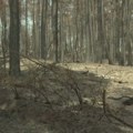 Situacija u Grebencu mirna, RHMZ upozorava na jak vetar u Deliblatskoj peščari