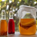 Kombuha pod lupom nauke – šta se zaista dešava u telu kada je pijemo