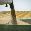 Preko luke Constanta isporučeno 8,1 miliona tona ukrajinskog žita