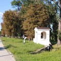 Voda neispravna sa devet javnih česama u Kragujevcu: Za piće dobri Bubanj i Šumarice
