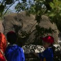 Meksički sud naložio zoo vrtu da poboljša uslove Eli, ''najtužnijeg slona na svetu"'