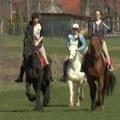 Harmonija snage i elegancije nadomak centra grada