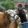 Svako ko bude hteo da se vrati na svoju dedovinu u ovom srpskom kraju dobiće nov put do kuće