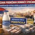 Država stala iza stočara: premije, podsticaji i poruka o stabilizaciji tržišta mleka